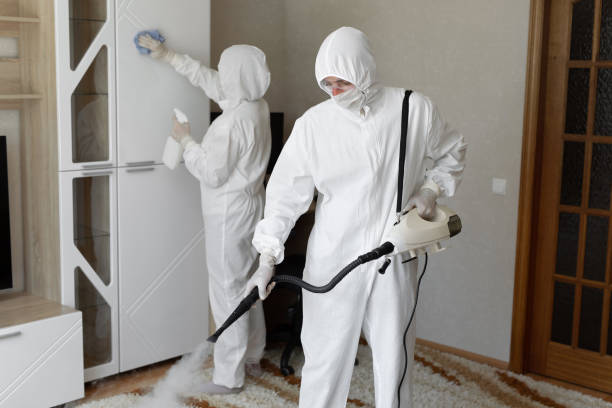 Best Professional Mold Removal  in Mccullom Lake, IL